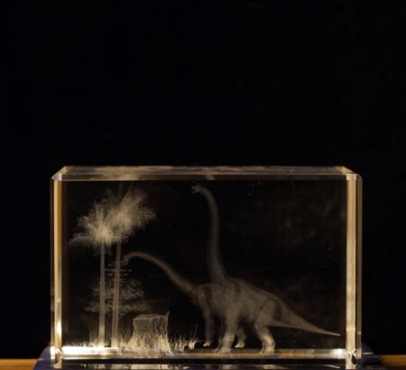 Dino Longneck Glass cube