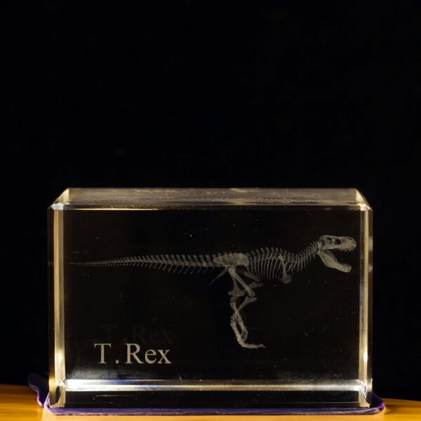 Dino T.rex Glass Gift 2